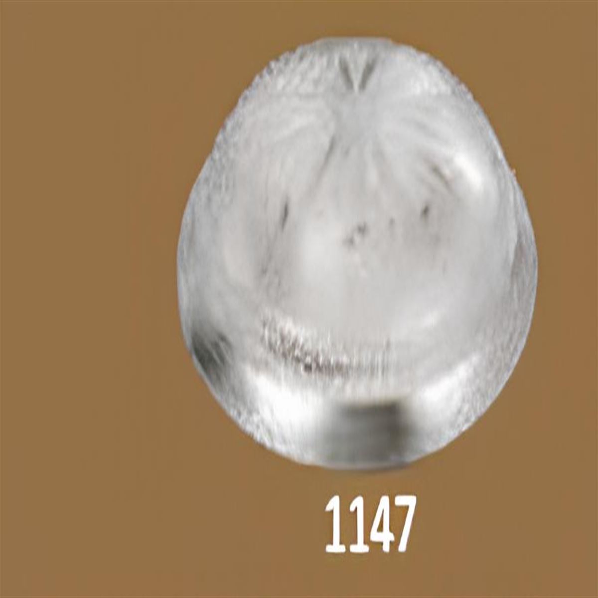 Trend Papatya 2XE27 1